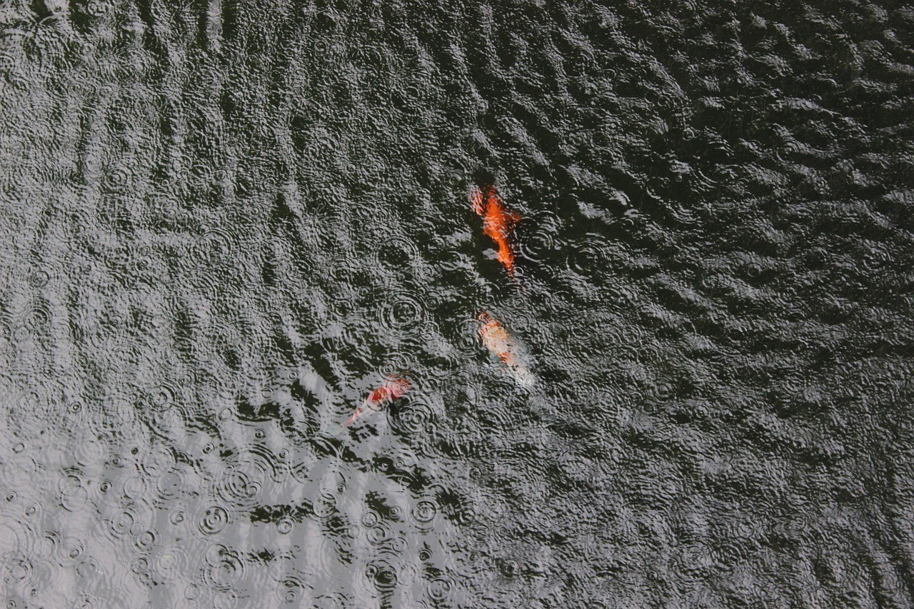 四海龍王頭像