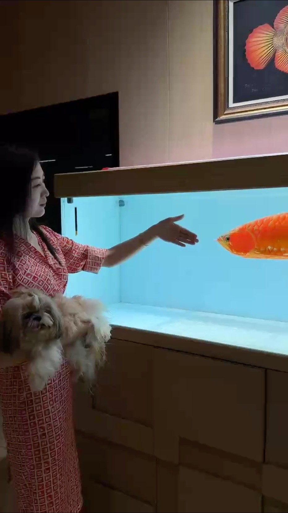 養魚·擼狗～見自己[愛心] 都市卷王？不如觀魚、撫犬。 一缸澄澈，治愈內卷焦慮；一狗憨態，揉碎鋼筋森林。