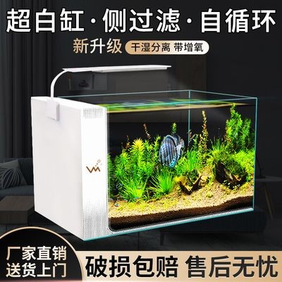 換水魚缸大量棉絮怎么回事視頻（換水后魚缸出現大量棉絮狀物可能是多種因素引起的）