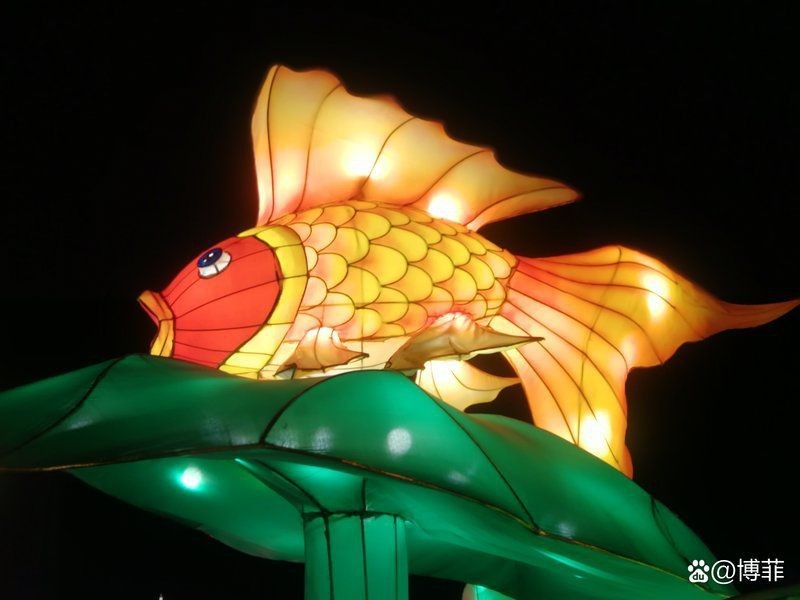 紅鯉魚為什么很少人吃