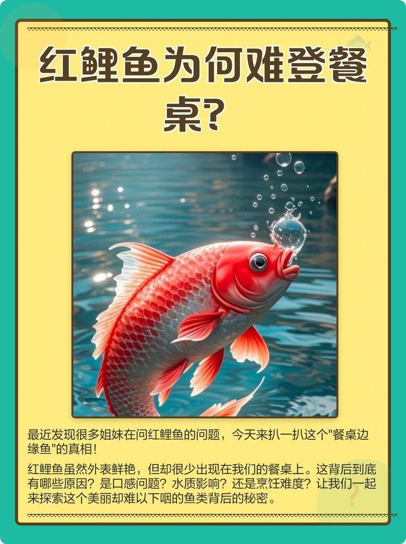 紅鯉魚為什么很少人吃