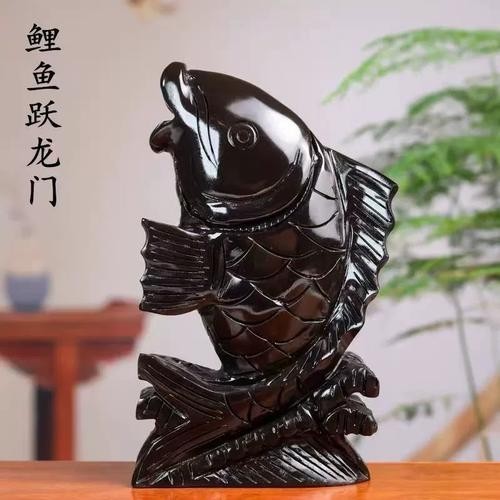 黑色金龍魚圖片