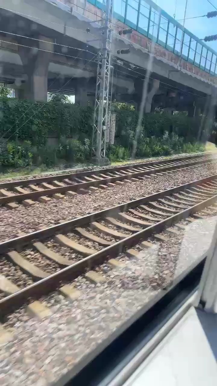 旅程 旅程 龍魚論壇