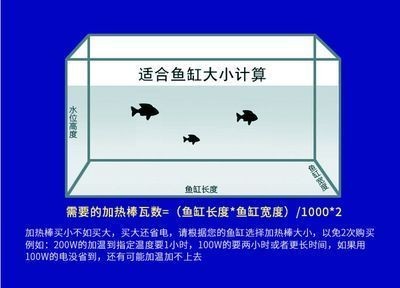 大小兩個(gè)魚缸：大小兩個(gè)魚缸選擇多大的魚缸最好取決于多個(gè)因素