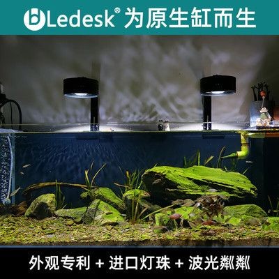 樂迪魚缸燈評測怎么樣知乎：樂迪魚缸燈與其他品牌對比，樂迪魚缸燈節能效果實測