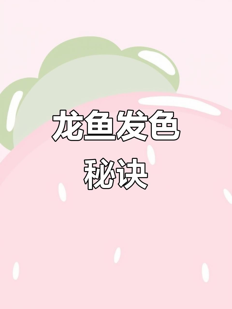 龍魚燈光應該多久開一次