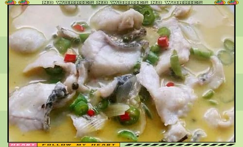 鯰魚適合哪些人吃