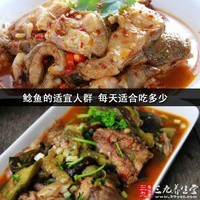 鯰魚(yú)適合哪些人吃
