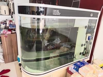 可麗愛魚缸旗艦店（可麗愛魚缸旗艦店是一個值得信賴的購物平臺，值得信賴的購物平臺）