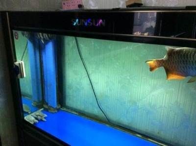 哈爾濱森森魚缸專賣店電話（哈爾濱森森魚缸專賣店電話號碼）