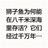 深海獅子魚多少錢一只