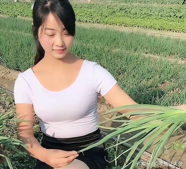 刀鰍不能隨便養的原因