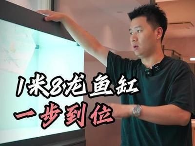 龍魚缸如何開缸養水（開缸養水是確保龍魚健康生長的重要步驟）