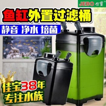 魚缸內側的工具有哪些好用，擦洗魚缸內側的工具有哪些好用：如何清洗魚缸？