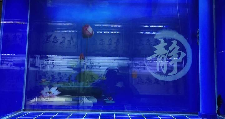 濟南市天橋區新綺杭水族店（濟南天橋區新綺杭水族館）