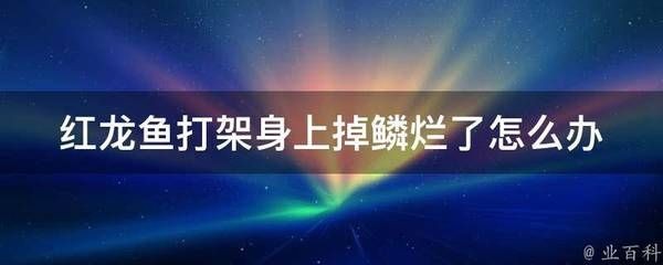 紅龍魚開燈就打架:如何解決紅龍魚開燈打架問題 龍魚百科 第1張 紅龍魚開燈就打架:如何解決紅龍魚開燈打架問題 紅龍魚開燈就打架:如何解決紅龍魚開燈打架問題 龍魚百科 第1張