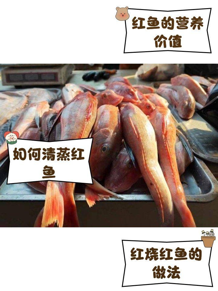 紅魚的做法大全家常做法