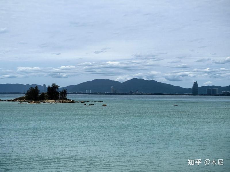 電鰻是怎么發電的