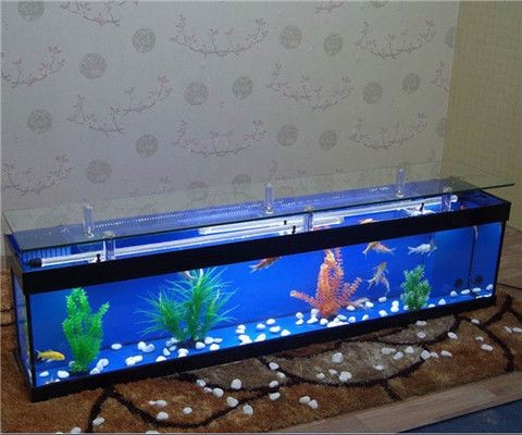 鯰魚蒸15分鐘還是20分鐘