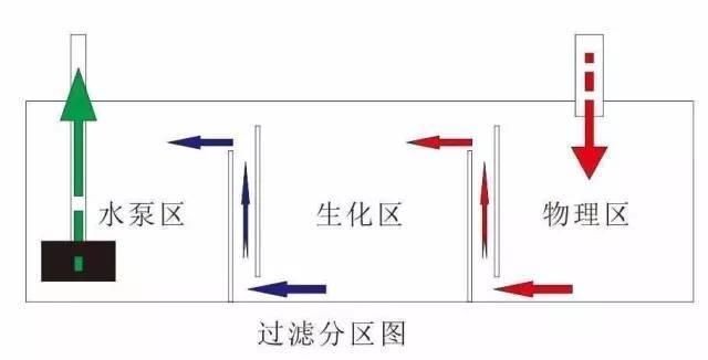 鯰魚蒸15分鐘還是20分鐘