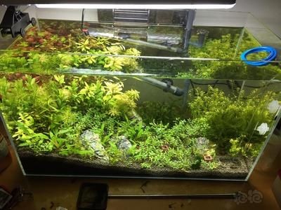 魚缸計算公式海水魚缸計算公式海水魚缸計算公式：海水魚缸容量計算公式