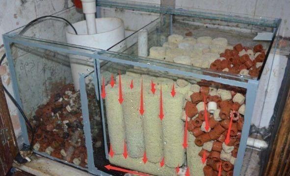 魚缸過濾材料怎么放視頻：如何正確放置魚缸過濾器的過濾器的過濾材料在視頻中