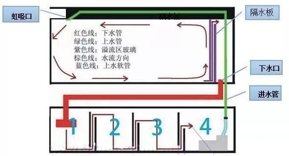 魚(yú)缸過(guò)濾材料怎么放視頻：如何正確放置魚(yú)缸過(guò)濾器的過(guò)濾器的過(guò)濾材料在視頻中