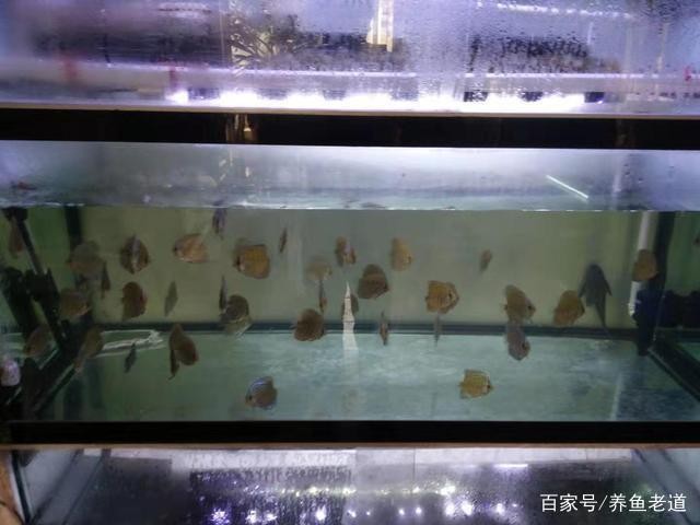 <strong><mark>佛山</mark></strong>市宇昊廣告有限公司（<strong><mark>佛山</mark></strong>市宇昊廣告有限公司怎么樣）