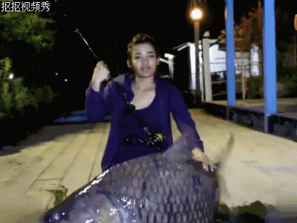 泰國鯉魚與龍魚混養：泰國鯉魚與龍魚混養可行嗎 泰國鯉魚與龍魚混養：泰國鯉魚與龍魚混養可行嗎 龍魚百科 第1張