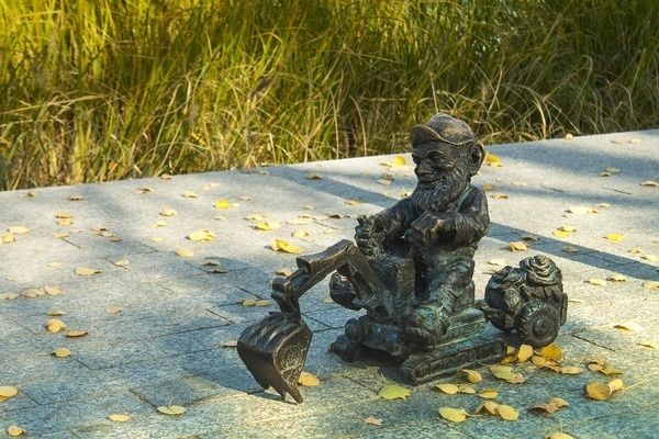 白色雷龍魚能長多大，