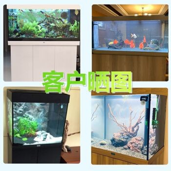 JUWEL魚缸
