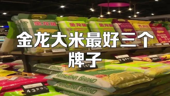 金龍魚稻花香有哪些系列？