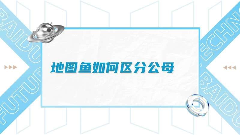 地圖魚公母對照視頻