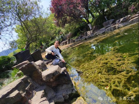 龍魚鱗片充血如何早期識別，如何判斷龍魚鱗片充血是否嚴重？