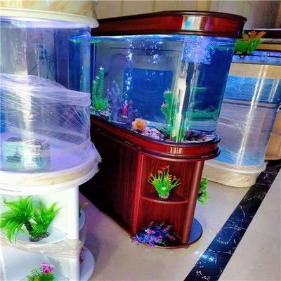 龍魚(yú)最近老是撞缸：龍魚(yú)撞缸怎么辦