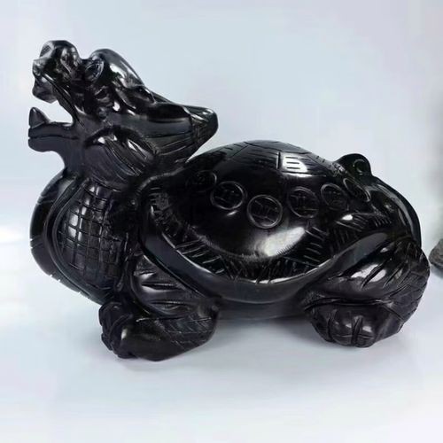 龍龜放門口正確示意圖