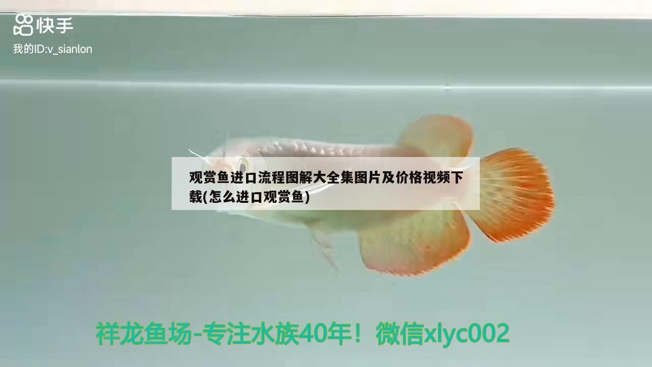 魚缸方位風水講究（店鋪風水魚缸的擺放方位）