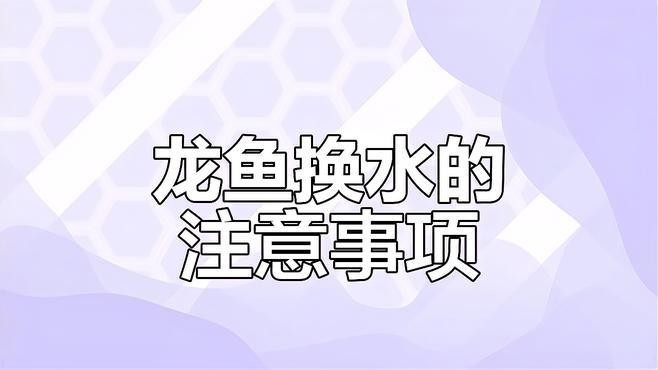 紅龍魚(yú)發(fā)色期間如何換水？