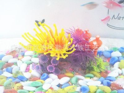 廣州魚缸造景批發批發市場：廣州魚缸造景批發市場及其相關信息搜索結果整理的一些信息
