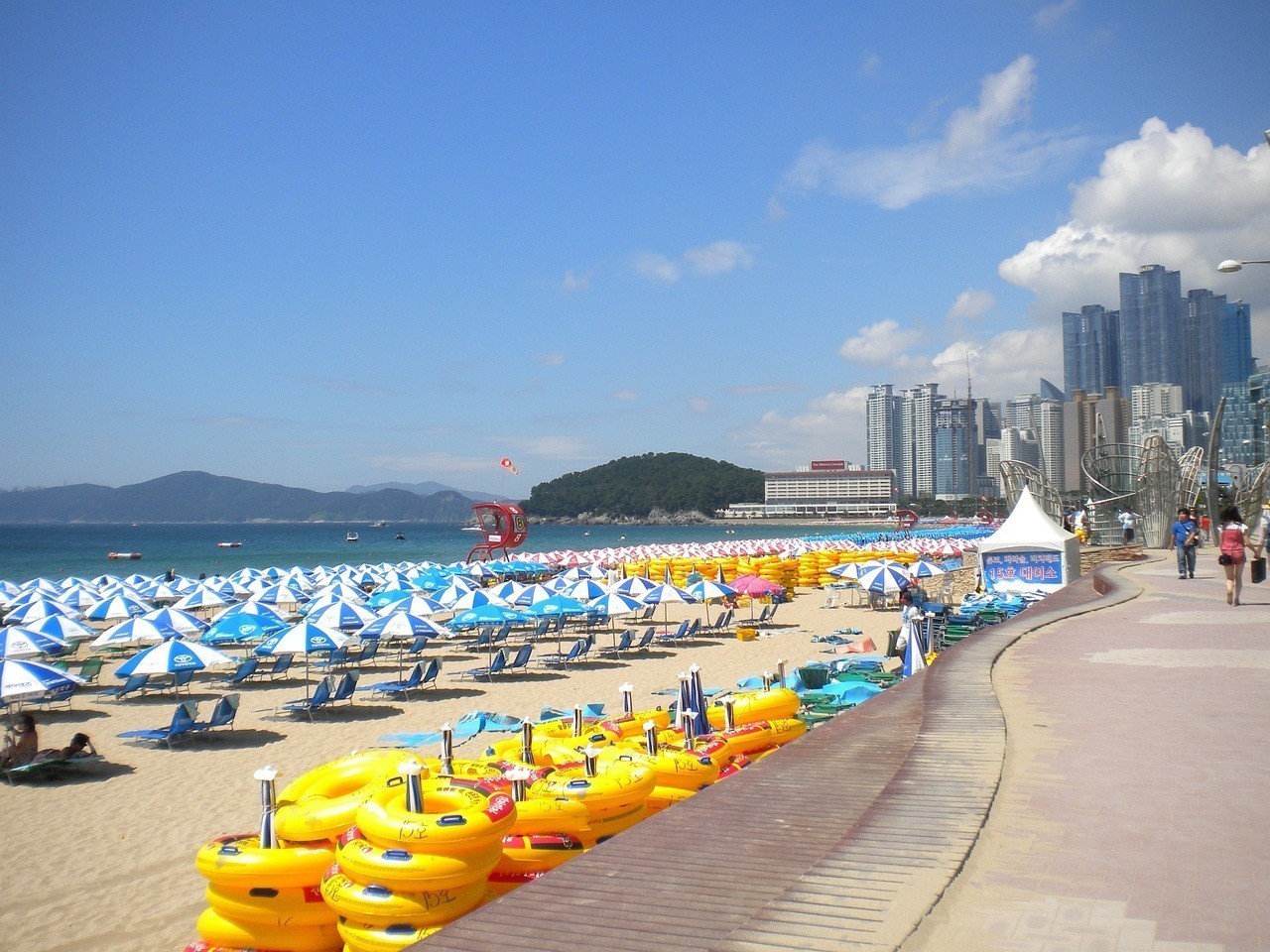 阜新市細(xì)河區(qū)友家海水俱樂(lè)部（阜新市細(xì)河區(qū)友家海水俱樂(lè)部地址）