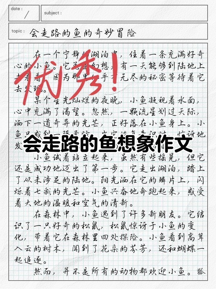 雙線魚多少錢