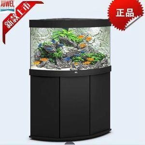 如何判斷龍魚尾巴是否恢復，龍魚尾巴恢復期護理checklist