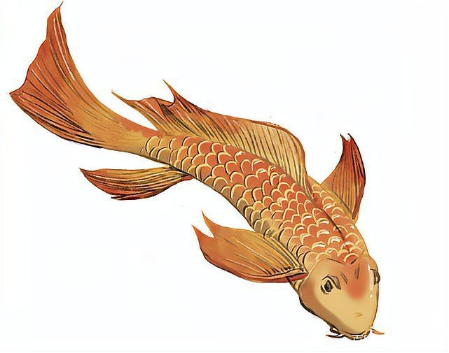 魚化龍屬于什么檔次