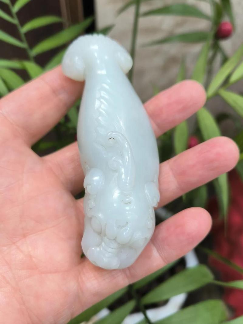 魚化龍屬于什么檔次