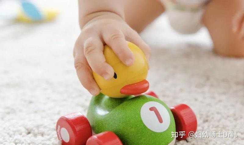 哪些材質(zhì)的玩具更適合小火龍魚？