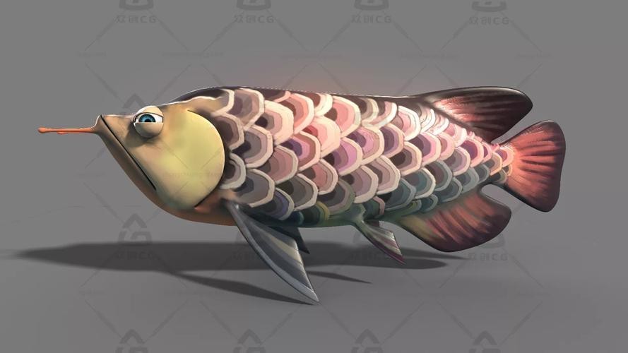 金龍魚吉祥如意卡圖片