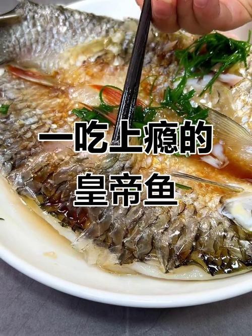 帝王魚圖片