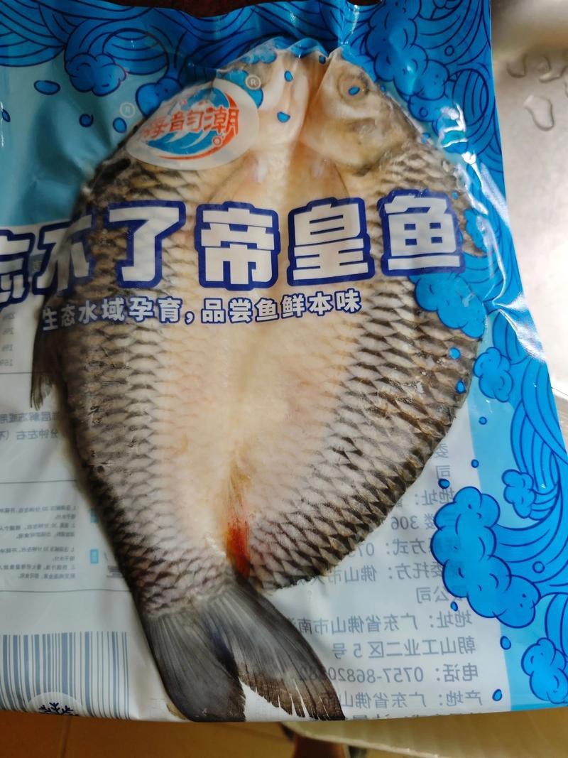 帝王魚圖片