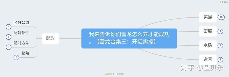 紅帝王雷龍魚圖片