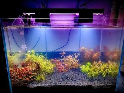 魚缸多少錢一個？（大型魚缸價格在1700到2000元左右）